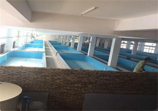 南美对虾养殖设备