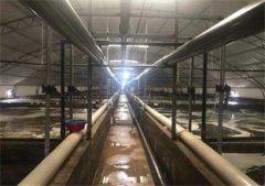南美对虾养殖设备如何控料