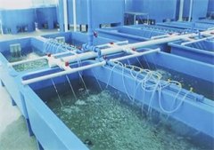 南美对虾养殖设备技术三要点