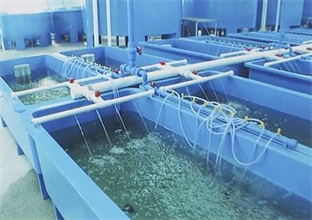 南美对虾养殖设备