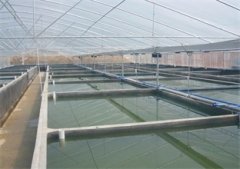 南美对虾养殖设备的基本养殖过程