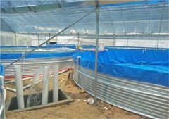 南美对虾养殖设备溶氧对南美白对虾的影响