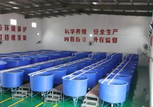 保持南美对虾养殖设备中溶氧的方法