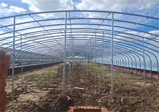 南美对虾养殖设备中增氧设备的科学配置与操作指南