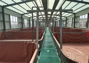 南美对虾养殖设备应该如何安装