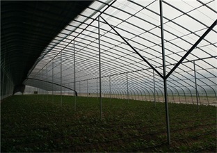 南美对虾养殖设备：精准管理的“好帮手”